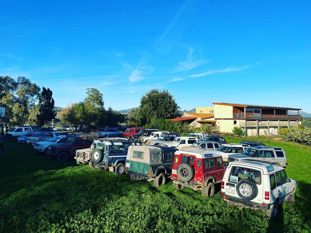 Sa Pigalva * Tula