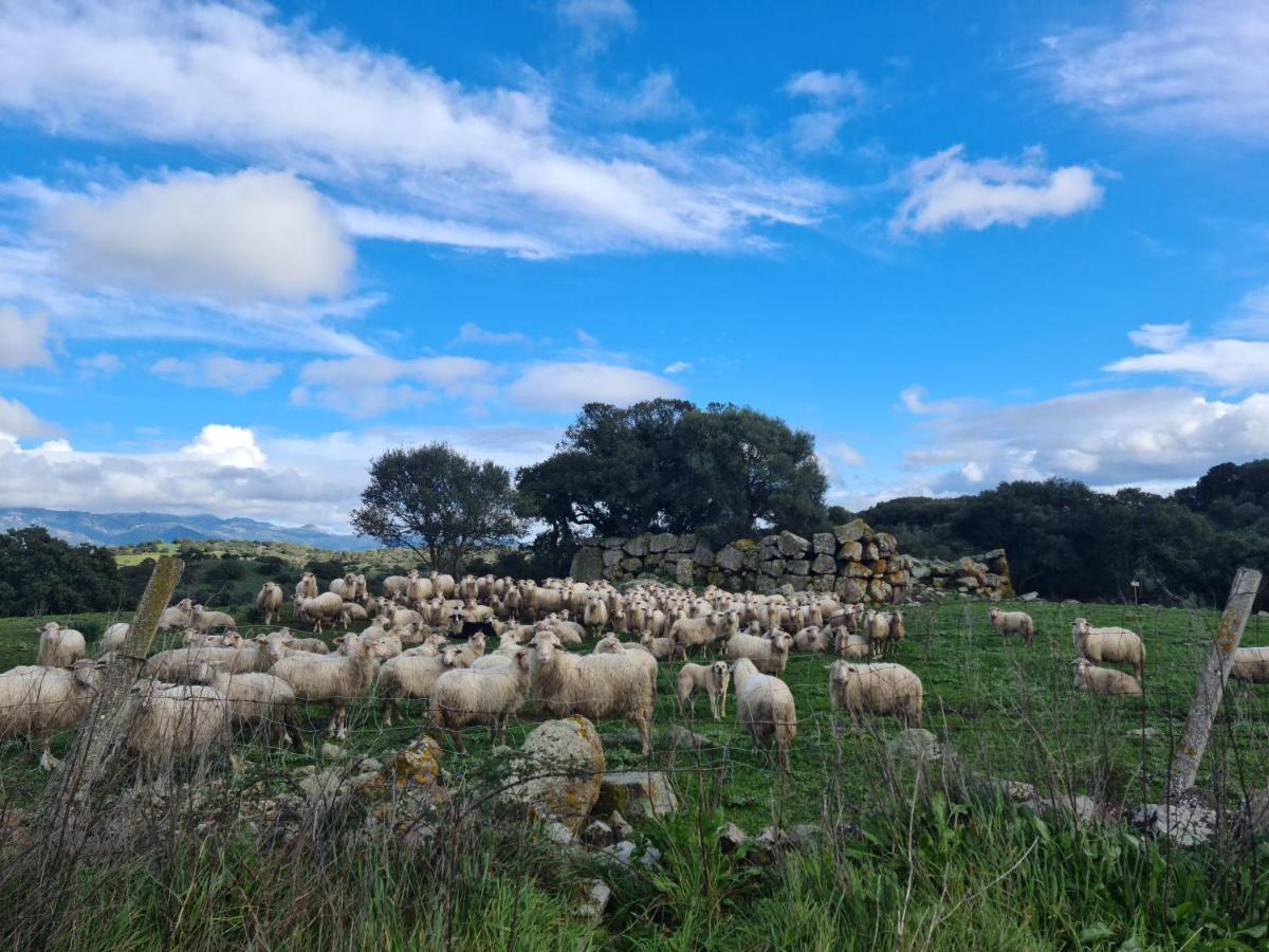 Vakantieboerderij Sa Pigalva