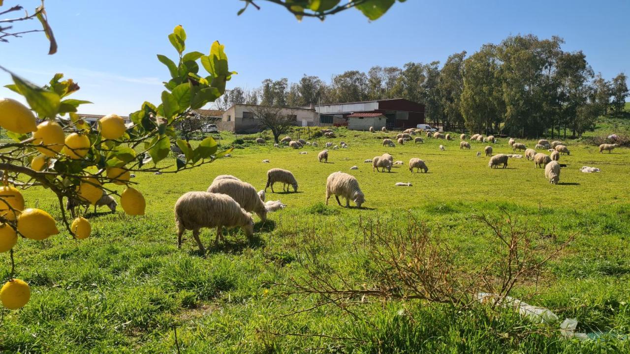 Sa Pigalva Vakantieboerderij