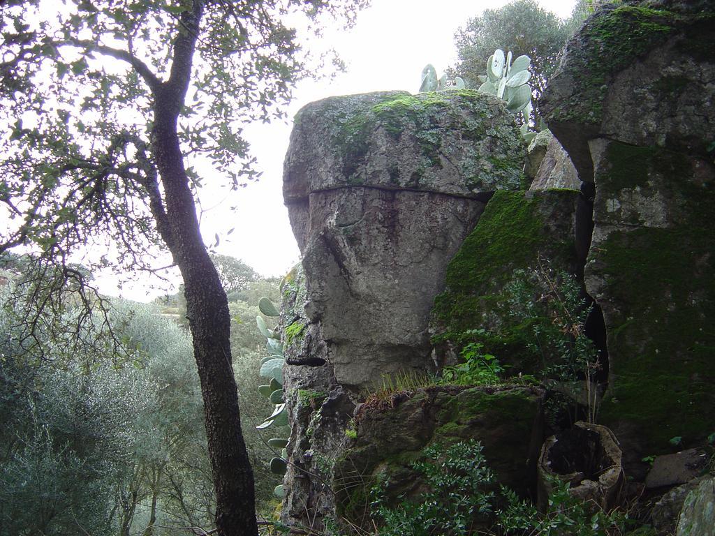 Sa Pigalva Agroturismo Tula