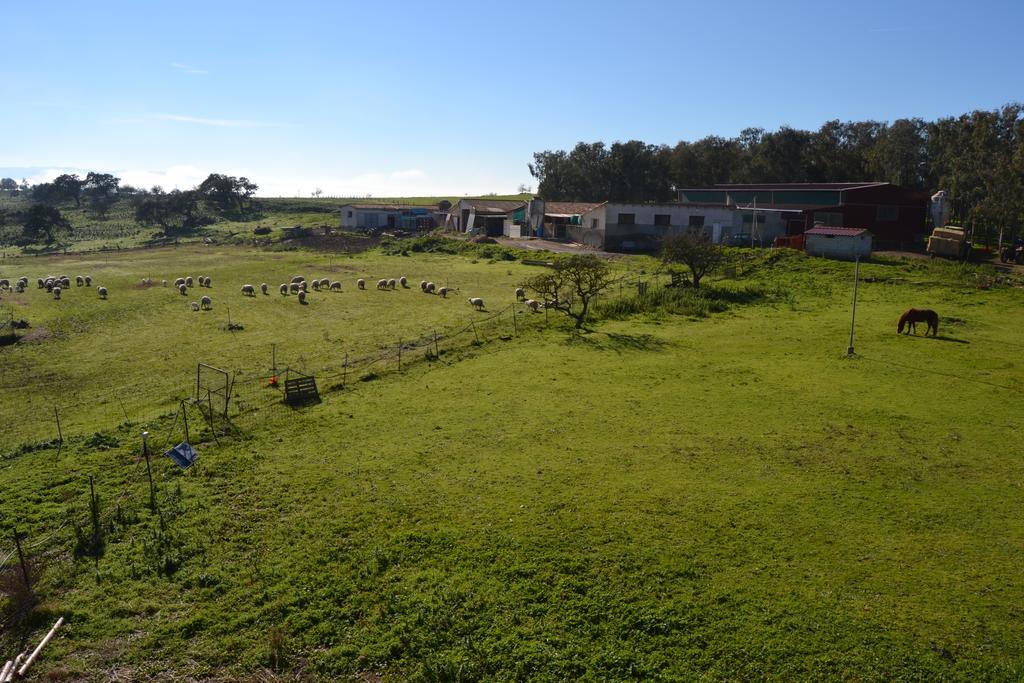 Sa Pigalva * Tula